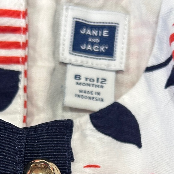 6-12m Janie and Jack Tulle Skirt Floral Dress - Picture 3 of 3